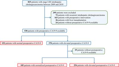 Importance of Normalization of Carbohydrate Antigen 19-9 in Patients With Intrahepatic Cholangiocarcinoma